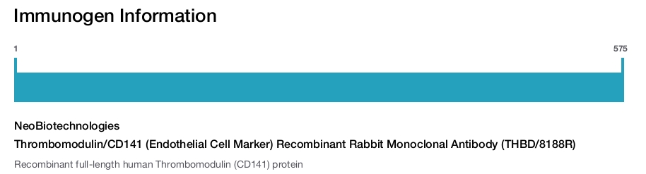 Thrombomodulin/CD141 (Endothelial Cell Marker) Recombinant Rabbit Monoclonal Antibody (THBD/8188R)