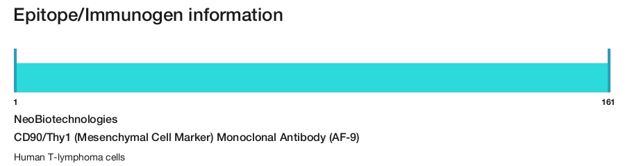 CD90/Thy1 (Mesenchymal Cell Marker) Monoclonal Antibody (AF-9)