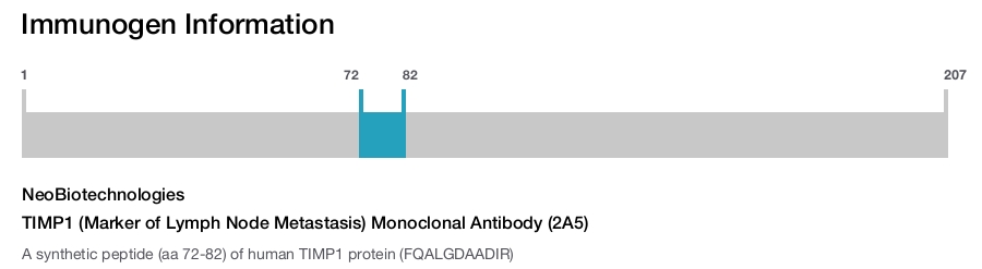 TIMP1 (Marker of Lymph Node Metastasis) Monoclonal Antibody (2A5)