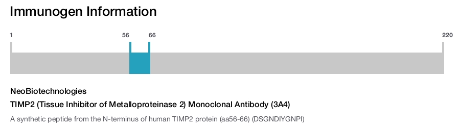 TIMP2 (Tissue Inhibitor of Metalloproteinase 2) Monoclonal Antibody (3A4)
