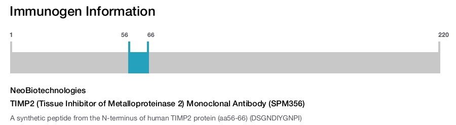 TIMP2 (Tissue Inhibitor of Metalloproteinase 2) Monoclonal Antibody (SPM356)