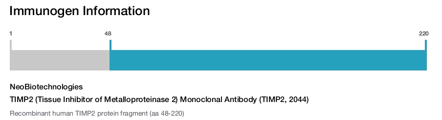 TIMP2 (Tissue Inhibitor of Metalloproteinase 2) Monoclonal Antibody (TIMP2, 2044)