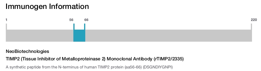 TIMP2 (Tissue Inhibitor of Metalloproteinase 2) Monoclonal Antibody (rTIMP2/2335)