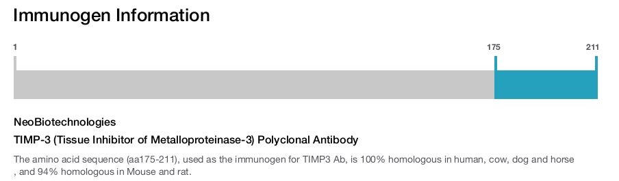 TIMP-3 (Tissue Inhibitor of Metalloproteinase-3) Polyclonal Antibody