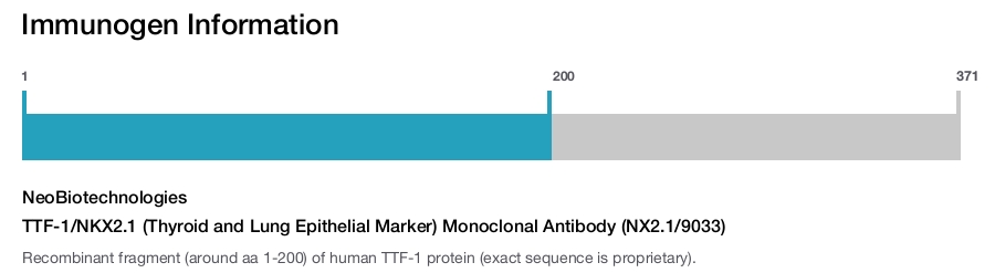 TTF-1/NKX2.1 (Thyroid and Lung Epithelial Marker) Monoclonal Antibody (NX2.1/9033)