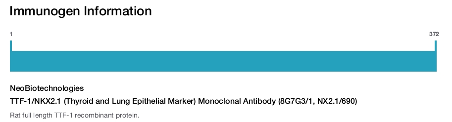 TTF-1/NKX2.1 (Thyroid and Lung Epithelial Marker) Monoclonal Antibody (8G7G3/1, NX2.1/690)