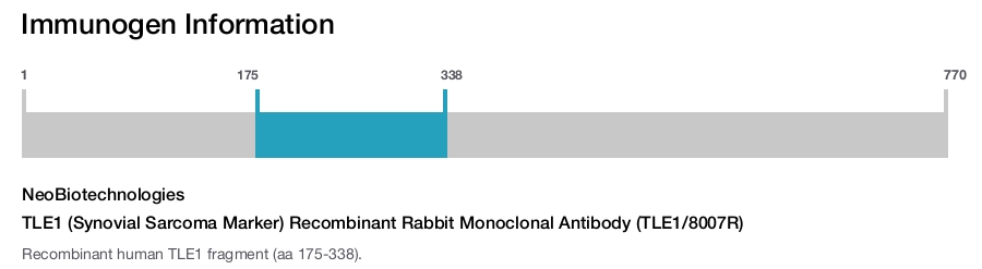 TLE1 (Synovial Sarcoma Marker) Recombinant Rabbit Monoclonal Antibody (TLE1/8007R)