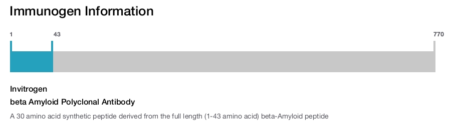 beta Amyloid Polyclonal Antibody