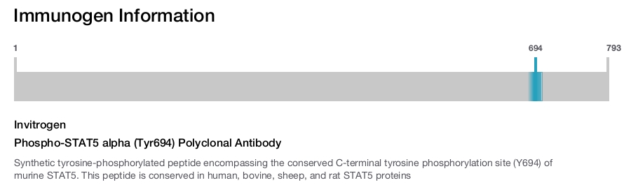 Phospho-STAT5 alpha (Tyr694) Polyclonal Antibody