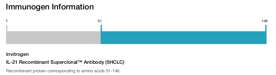 IL-21 Recombinant Superclonal™ Antibody (5HCLC)