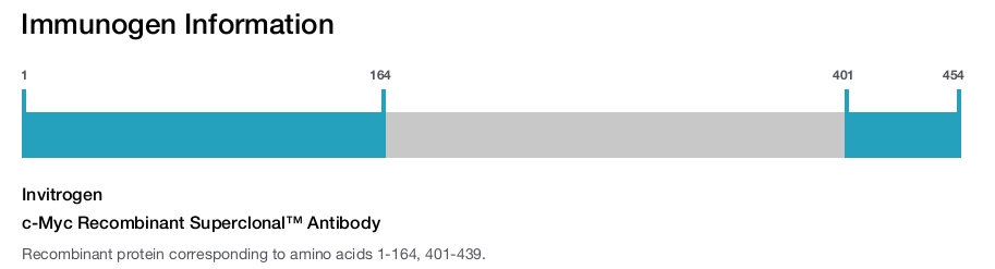 c-Myc Recombinant Superclonal™ Antibody
