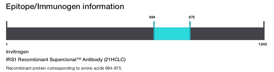 IRS1 Recombinant Superclonal&trade; Antibody (21HCLC)