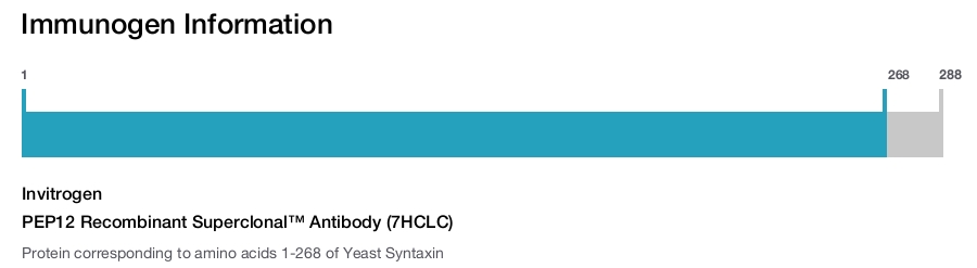 PEP12 Recombinant Superclonal™ Antibody (7HCLC)