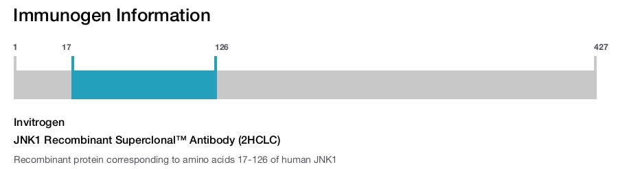 JNK1 Recombinant Superclonal&trade; Antibody (2HCLC)