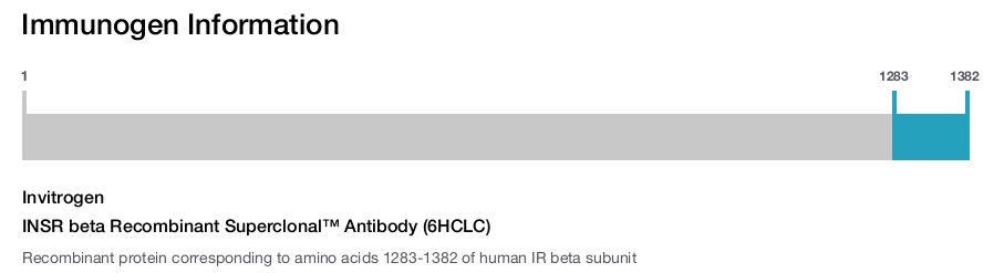 INSR beta Recombinant Superclonal™ Antibody (6HCLC)