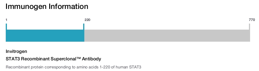 STAT3 Recombinant Superclonal™ Antibody