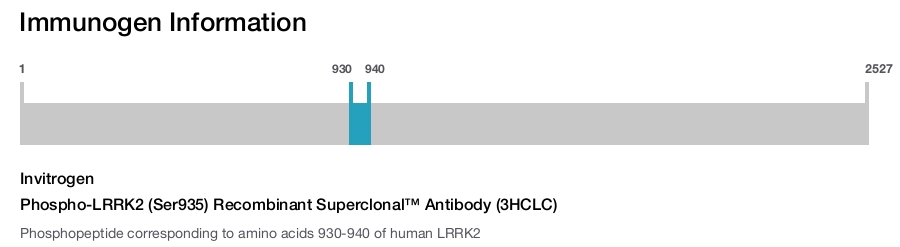 Phospho-LRRK2 (Ser935) Recombinant Superclonal™ Antibody (3HCLC)