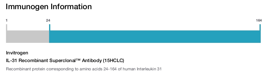 IL-31 Recombinant Superclonal™ Antibody (15HCLC)