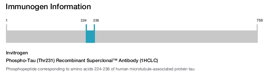 Phospho-Tau (Thr231) Recombinant Superclonal™ Antibody (1HCLC)