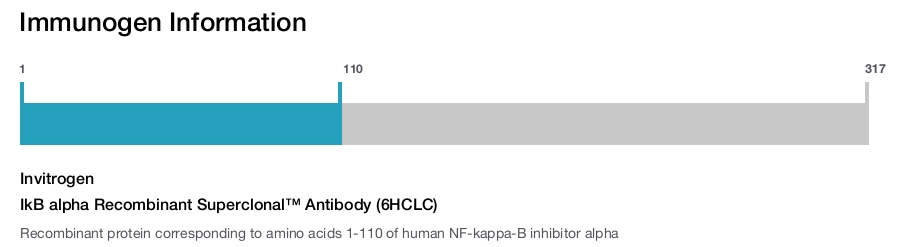 IkB alpha Recombinant Superclonal™ Antibody (6HCLC)