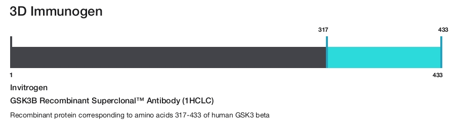 GSK3B Recombinant Superclonal&trade; Antibody (1HCLC)