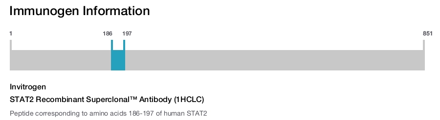 STAT2 Recombinant Superclonal™ Antibody (1HCLC)