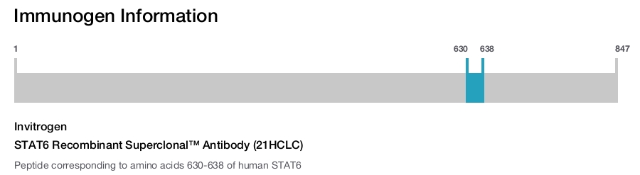 STAT6 Recombinant Superclonal™ Antibody (21HCLC)