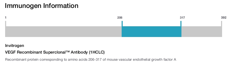 VEGF Recombinant Superclonal™ Antibody (1HCLC)