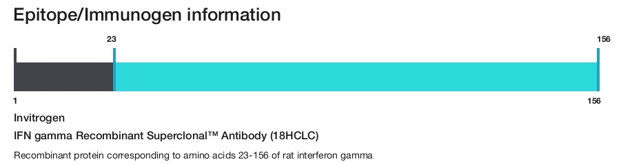IFN gamma Recombinant Superclonal&trade; Antibody (18HCLC)