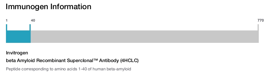 beta Amyloid Recombinant Superclonal™ Antibody (4HCLC)