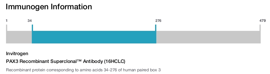 PAX3 Recombinant Superclonal&trade; Antibody (16HCLC)