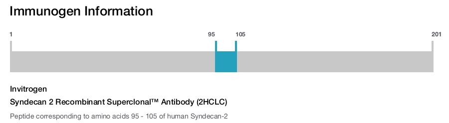 Syndecan 2 Recombinant Superclonal™ Antibody (2HCLC)