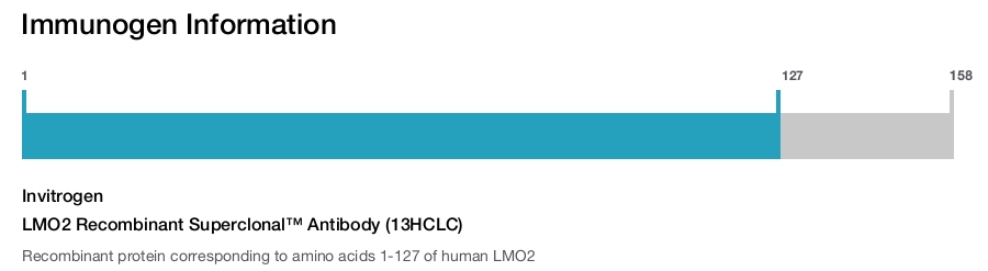 LMO2 Recombinant Superclonal™ Antibody (13HCLC)