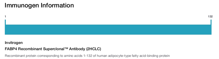 FABP4 Recombinant Superclonal™ Antibody (2HCLC)