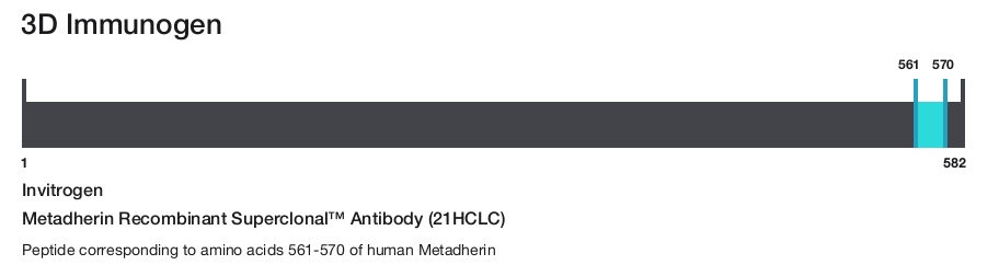 Metadherin Recombinant Superclonal&trade; Antibody (21HCLC)