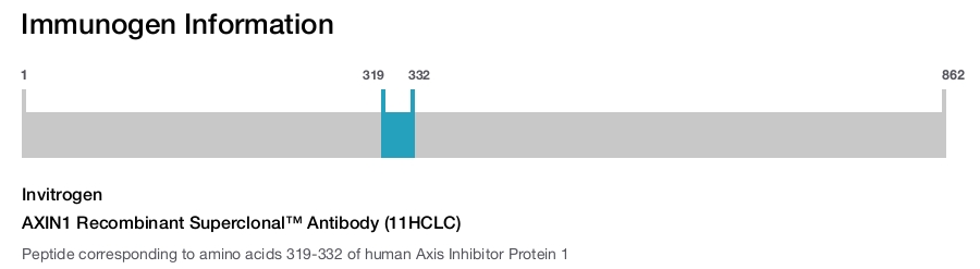 AXIN1 Recombinant Superclonal™ Antibody (11HCLC)