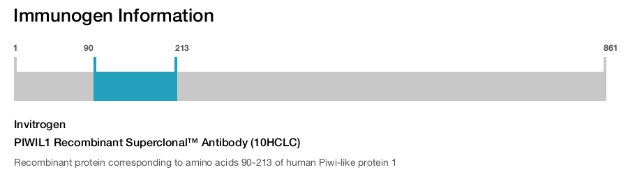 PIWIL1 Recombinant Superclonal™ Antibody (10HCLC)