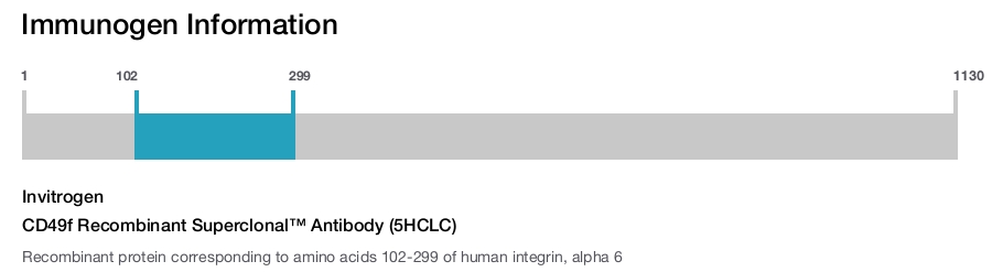 CD49f Recombinant Superclonal™ Antibody (5HCLC)
