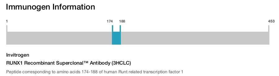 RUNX1 Recombinant Superclonal™ Antibody (3HCLC)