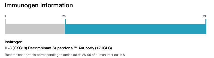 IL-8 (CXCL8) Recombinant Superclonal™ Antibody (12HCLC)