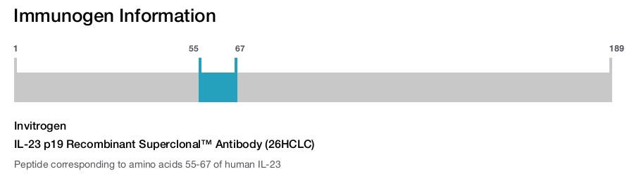 IL-23 p19 Recombinant Superclonal™ Antibody (26HCLC)