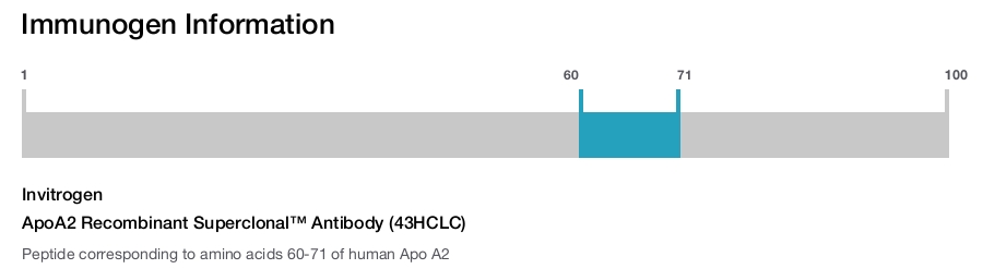 ApoA2 Recombinant Superclonal™ Antibody (43HCLC)