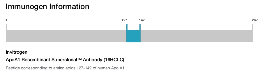 ApoA1 Recombinant Superclonal™ Antibody (19HCLC)
