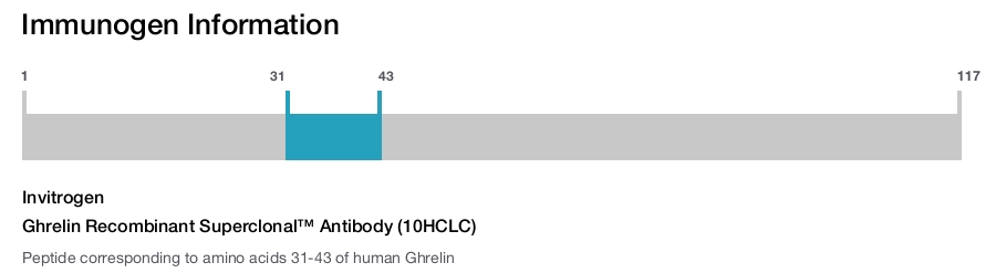 Ghrelin Recombinant Superclonal™ Antibody (10HCLC)