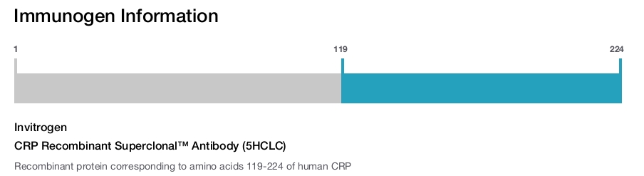 CRP Recombinant Superclonal&trade; Antibody (5HCLC)