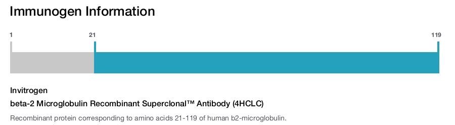 beta-2 Microglobulin Recombinant Superclonal™ Antibody (4HCLC)