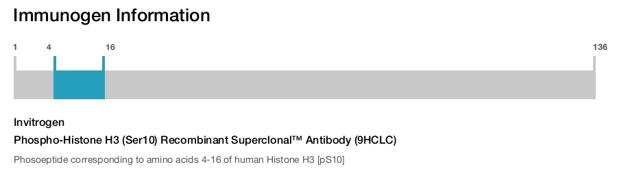Phospho-Histone H3 (Ser10) Recombinant Superclonal™ Antibody (9HCLC)