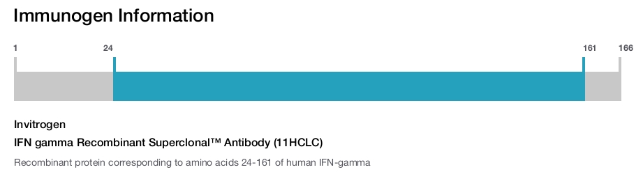 IFN gamma Recombinant Superclonal&trade; Antibody (11HCLC)