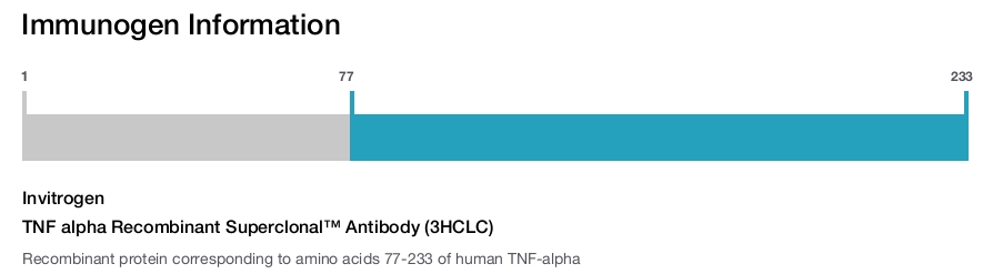 TNF alpha Recombinant Superclonal™ Antibody (3HCLC)