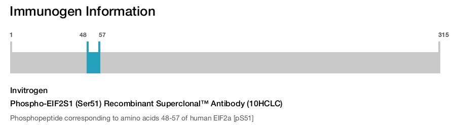 Phospho-EIF2S1 (Ser51) Recombinant Superclonal™ Antibody (10HCLC)